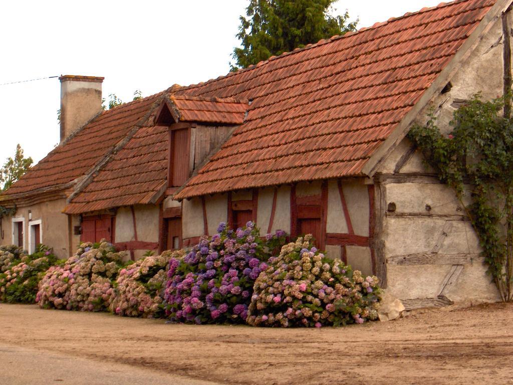 Domaine du Bourg Gites Gannay-sur-Loire Extérieur photo